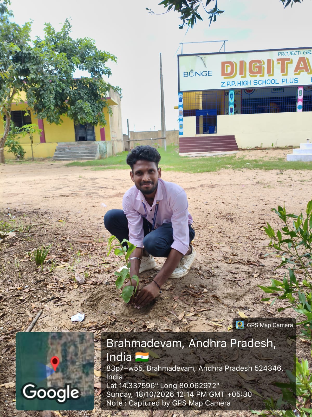 A student watering and tending a newly planted sapling