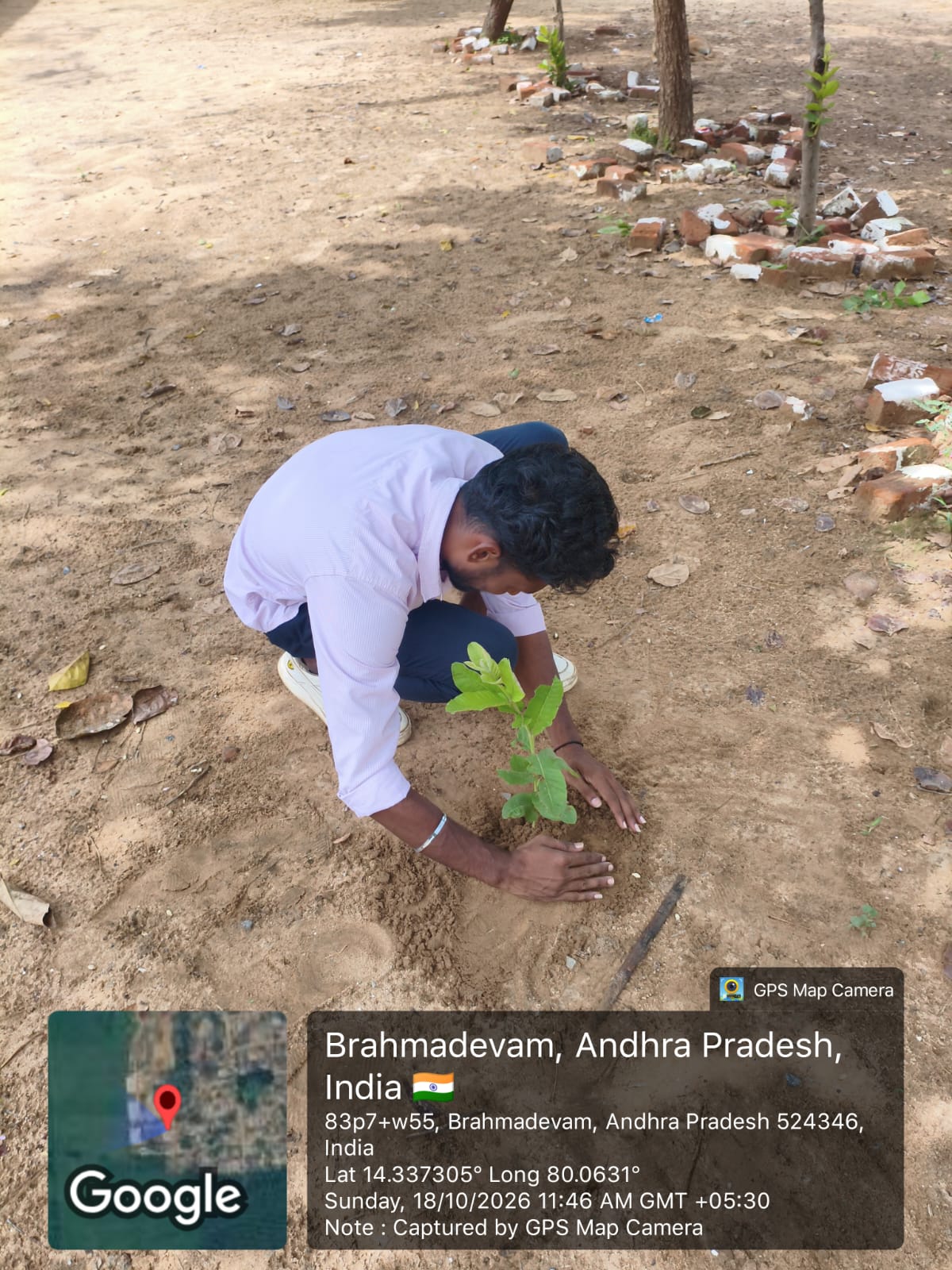 A student tending soil around a newly planted sapling
