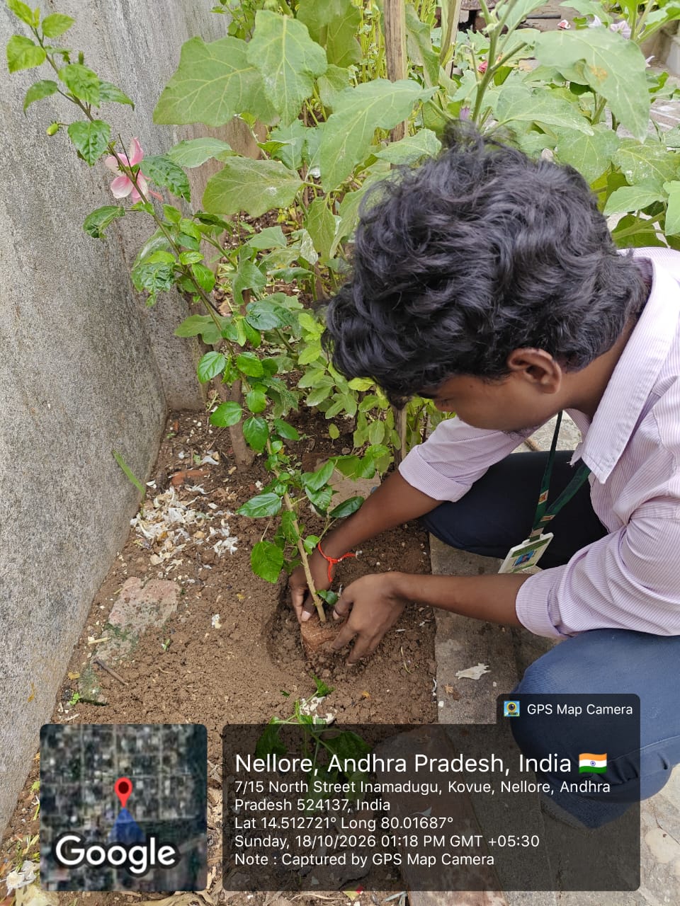 A student planting a sapling in a prepared school garden bed