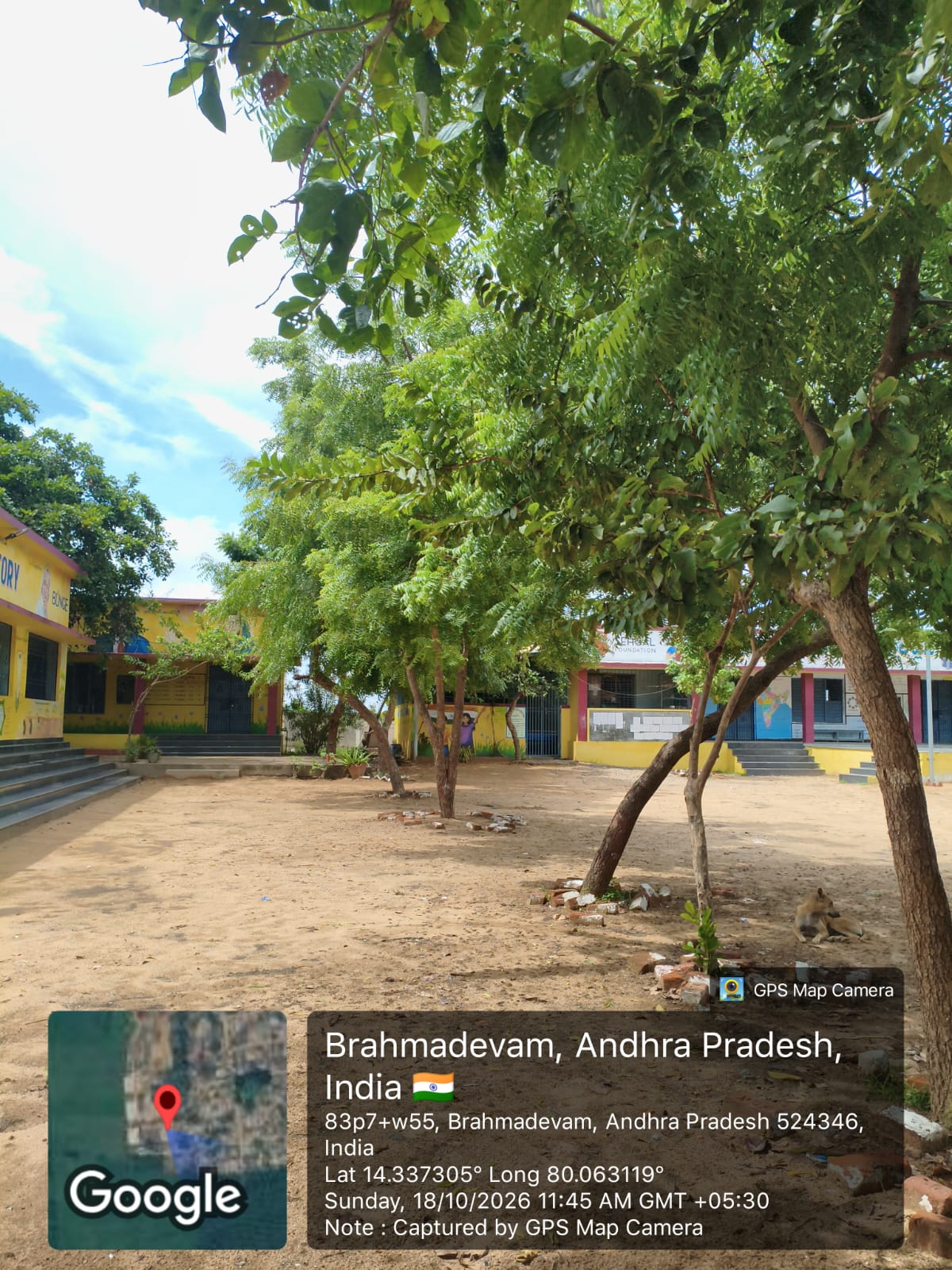 Mature leafy trees shading the school grounds